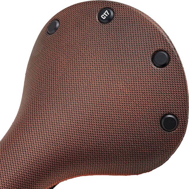 Cambium_Brooks_C17_Orange_6