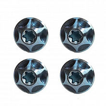 Комплект титановых винтов Silca Titanium Cage Bolts T25 4шт. (aqua)