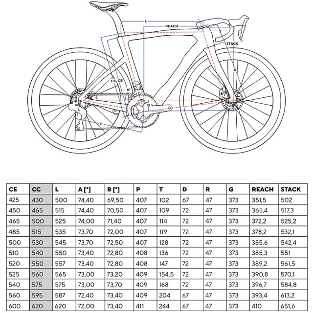 New-Dogma-Geom