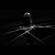 00-00003934_1