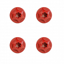 Комплект титановых винтов Silca Titanium Cage Bolts T25 4шт. (ruby red)
