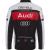 Castelli (Audi Specialized)_2