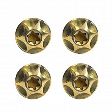 Комплект титановых винтов Silca Titanium Cage Bolts T25 4шт. (gold)