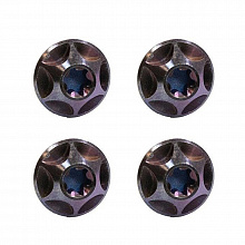 Комплект титановых винтов Silca Titanium Cage Bolts T25 4шт. (purple)