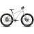 Belter_20_Trail_3_brushed