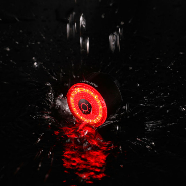GACIRON_Loop-100_5