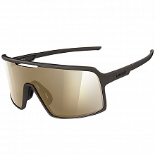 Очки Limar Argo titanium matt / gold