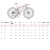 !Size_chart_Wilier-101X