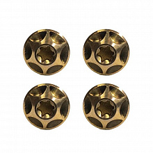 Комплект титановых винтов Silca Titanium Cage Bolts T25 4шт. (burbon)